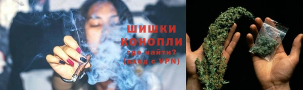 сатива Балабаново