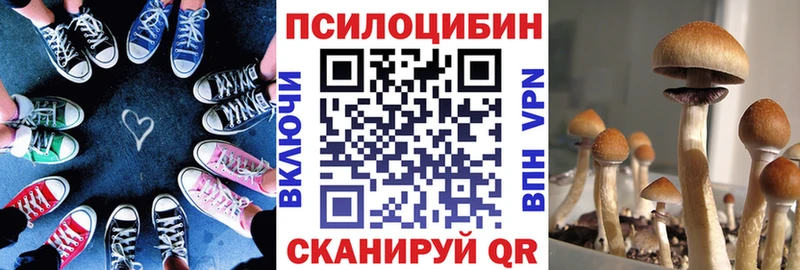 kraken tor  Грайворон  Галлюциногенные грибы GOLDEN TEACHER 